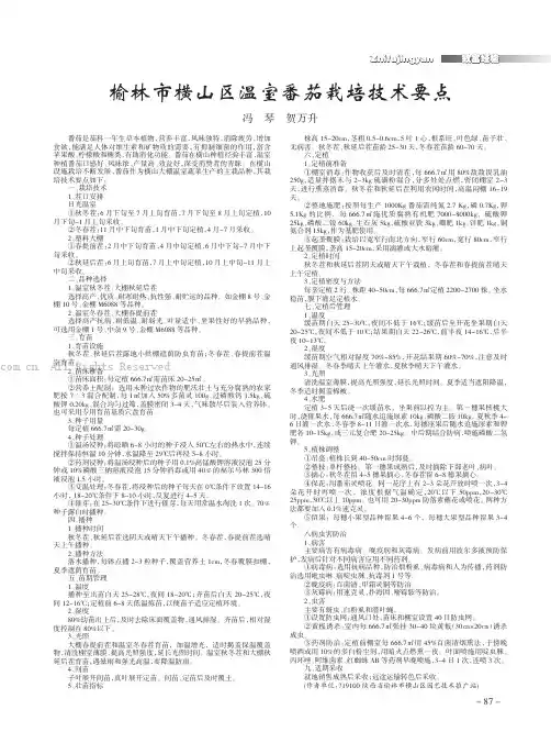 榆林市横山区温室番茄栽培技术要点