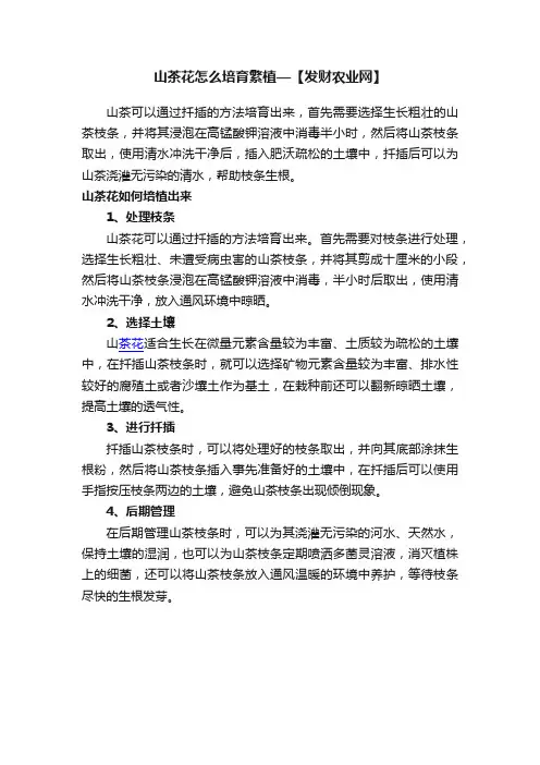 山茶花怎么培育繁植—【发财农业网】