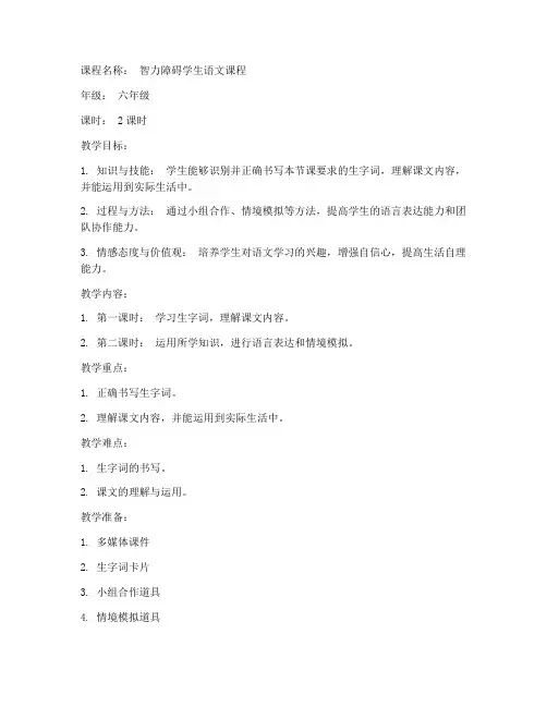 特殊教育精细教案范文模板