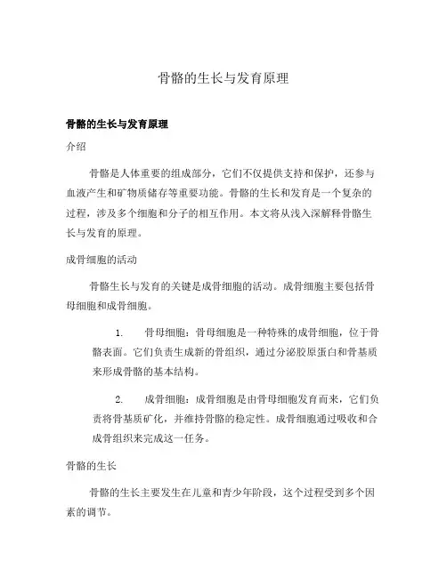 骨骼的生长与发育原理