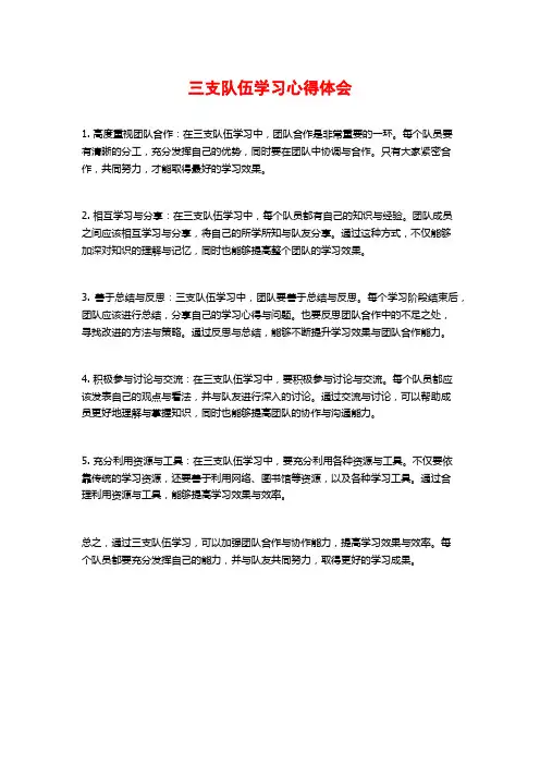 三支队伍学习心得体会