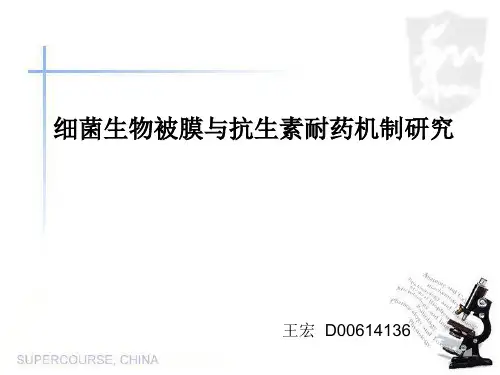 细菌生物被膜