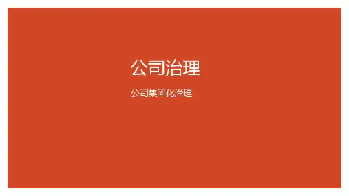 公司治理总结