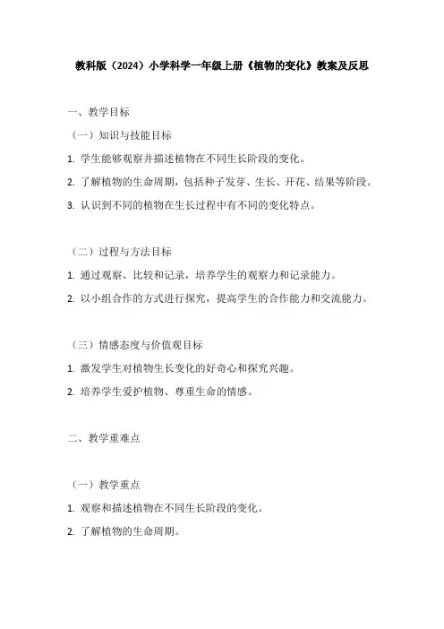 教科版(2024)小学科学一年级上册《植物的变化》教案及反思