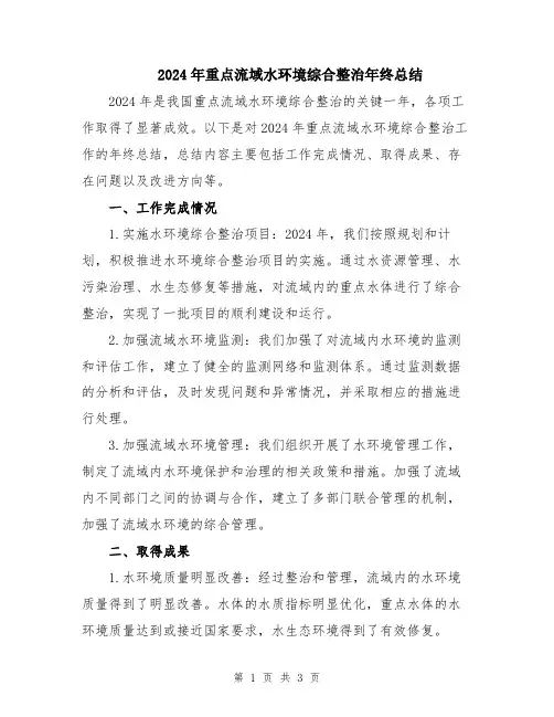 2024年重点流域水环境综合整治年终总结