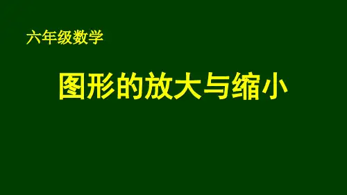 六年级下册数学人教版图形的放大与缩小课件(共14张PPT)