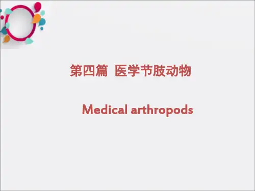 《医学节肢动物》PPT课件