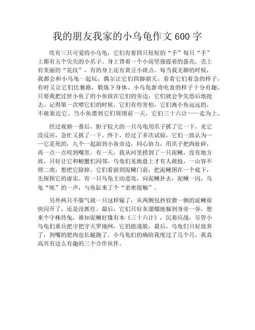 我的朋友我家的小乌龟作文600字