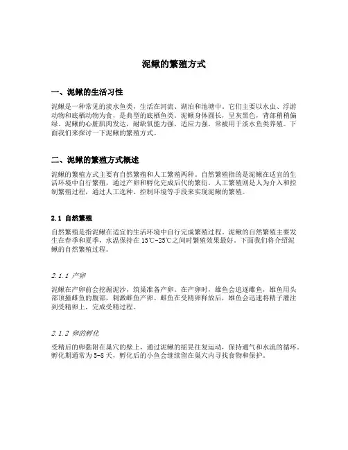 泥鳅的繁殖方式