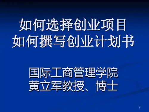 如何选择创业项目(精选PPT)