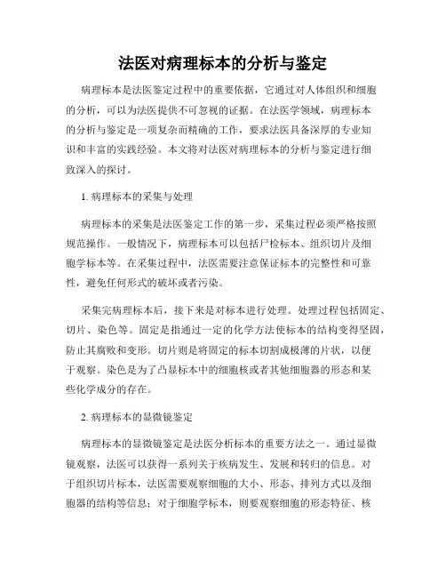 法医对病理标本的分析与鉴定