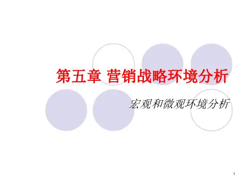 营销战略环境分析PPT课件