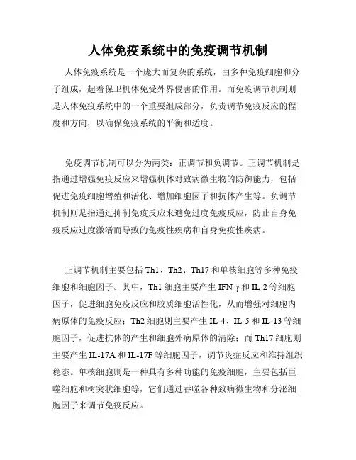 人体免疫系统中的免疫调节机制