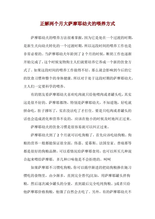 正解两个月大萨摩耶幼犬的喂养方式