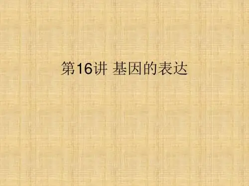 高考生物一轮复习第一部分第五单元遗传的分子基础第16讲基因的表达名师课件新人教版