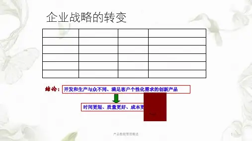 产品数据管理概述ppt课件