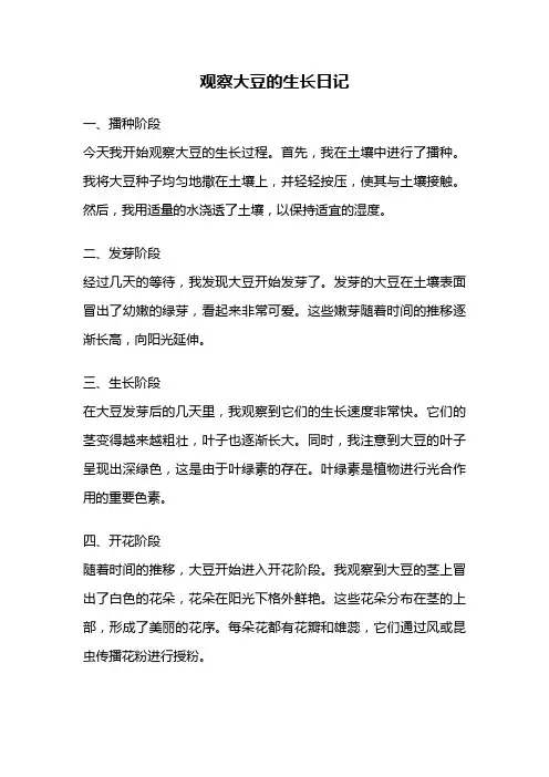 观察大豆的生长日记