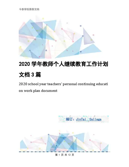 2020学年教师个人继续教育工作计划文档3篇