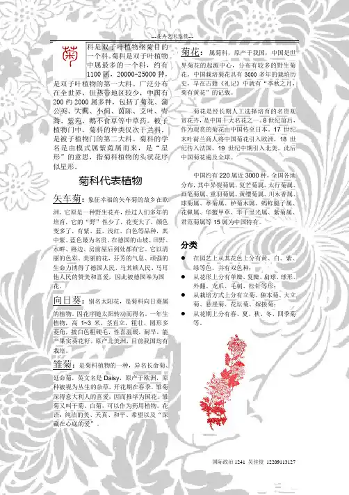 菊科