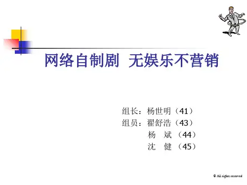 成功营销案例分析,版权剧与网络剧页PPT文档