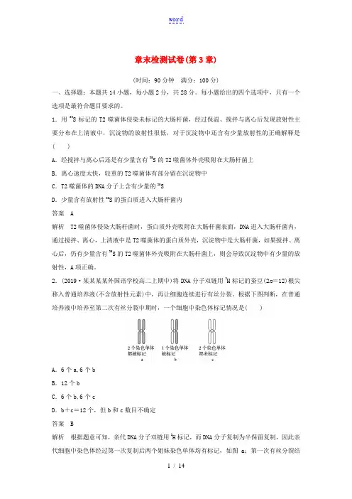 高中生物 第3章 基因的本质 章末检测试卷(含解析)新人教版必修第二册-新人教版高一第二册生物试题