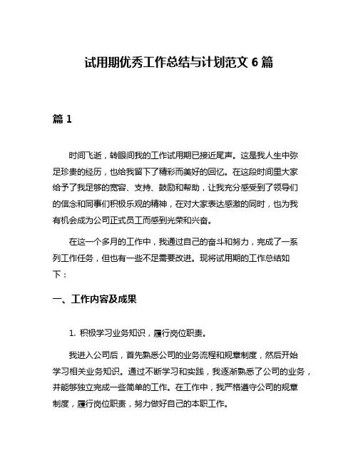 试用期优秀工作总结与计划范文6篇