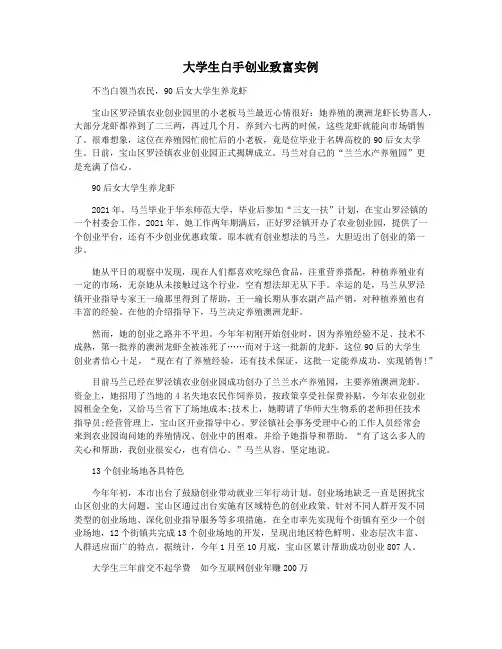 大学生白手创业致富实例
