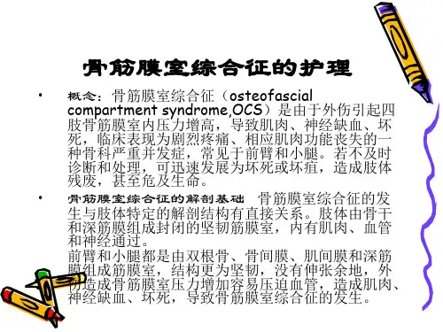 骨筋膜室综合征的护理ppt课件