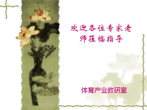 体育赛事策划方案 ppt课件