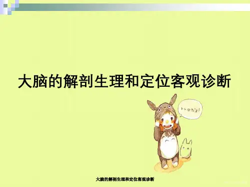 大脑解剖生理与定位客观诊断