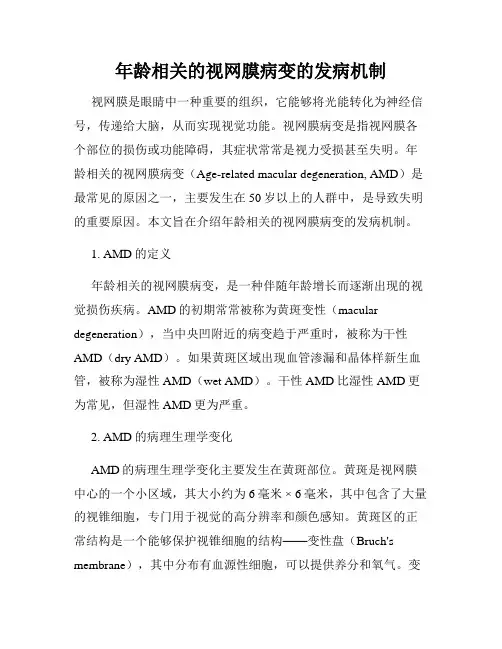 年龄相关的视网膜病变的发病机制