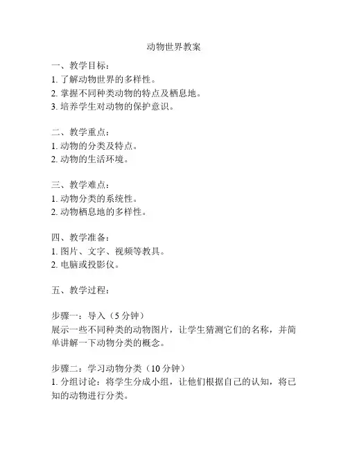 动物世界教案