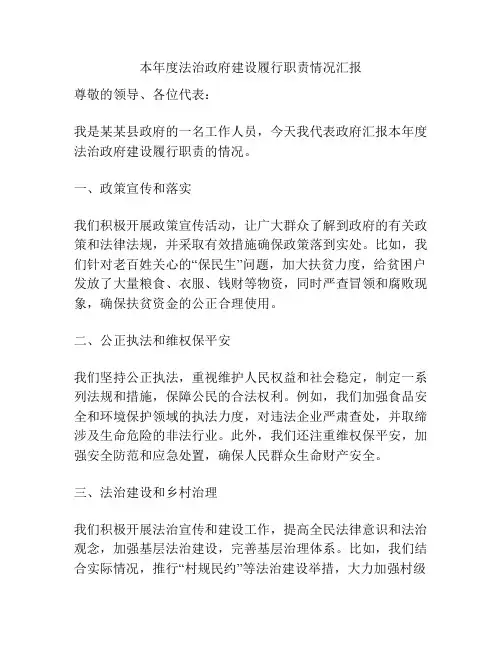 本年度法治政府建设履行职责情况汇报