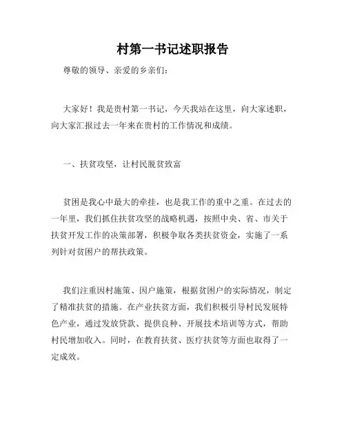 村第一书记述职报告