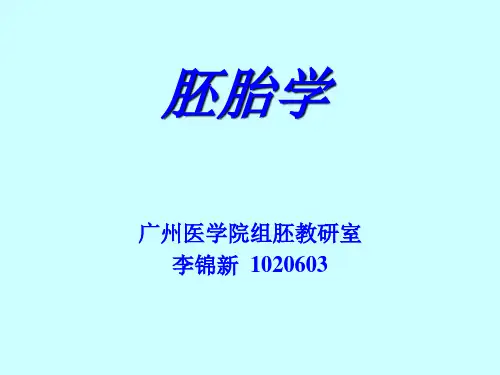 胚胎学