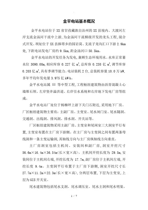 金平、金元水电站基本概况