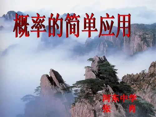等可能事件的概率计算 (3)