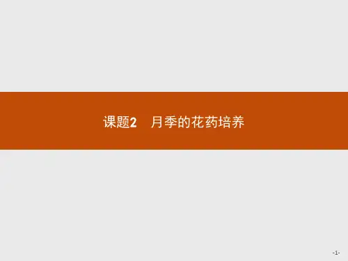 2019版生物人教版选修1课件：专题3 课题2 月季的花药培养 .pptx