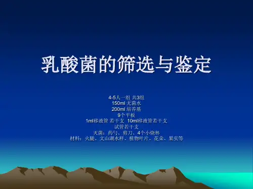 乳酸菌的筛选与鉴定