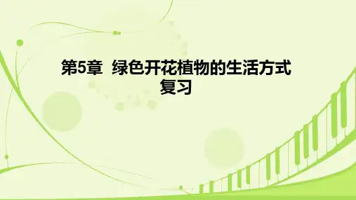 第5章++绿色开花植物的生活方式+复习课件-2023-2024学年北师大版生物七年级上册