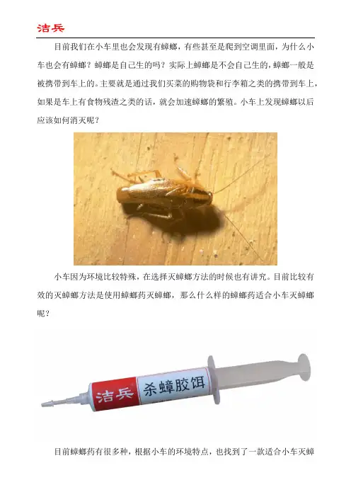 为什么小车也会有蟑螂