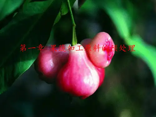 果蔬加工原料的预处理