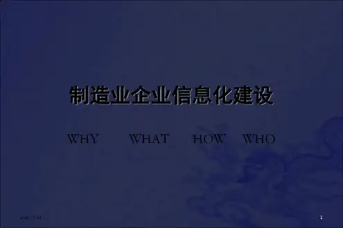 《企业信息化建设》PPT课件_OK