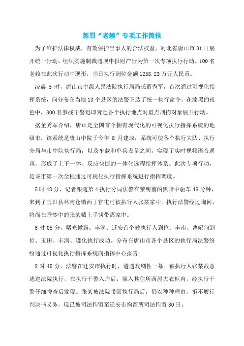惩罚“老赖”专项工作简报