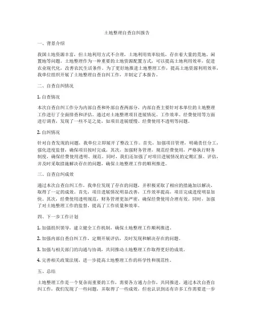 土地整理自查自纠报告