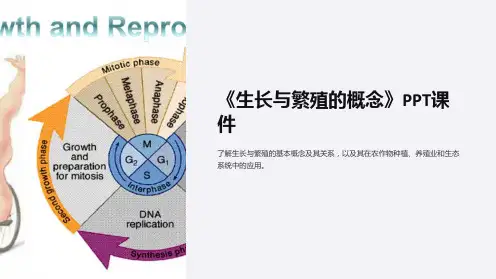 《生长与繁殖的概念》课件