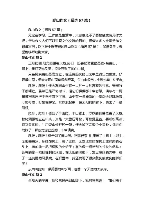 爬山作文（精选57篇）