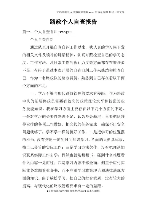 路政个人自查报告