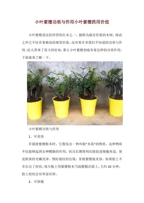 小叶紫檀功效与作用 小叶紫檀药用价值