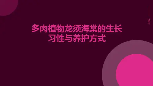 多肉植物龙须海棠的生长习性与养护方式